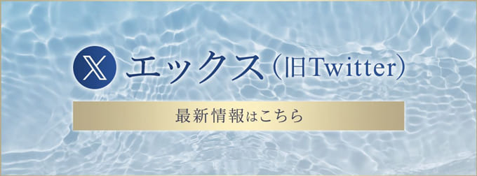 最新情報Xはこちら